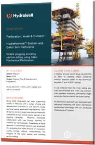 Gator case study 3D